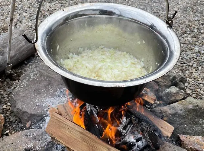 Pensiune Hajnal Vendeghaz Kéked